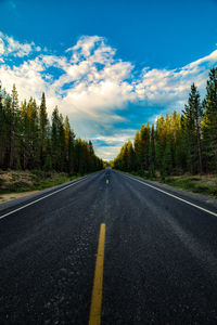 Cascade lakes highway in central oregon, vertical image