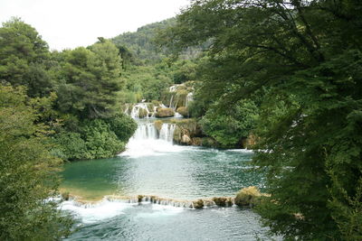 View of river flowing through forest