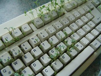 High angle view of computer keyboard