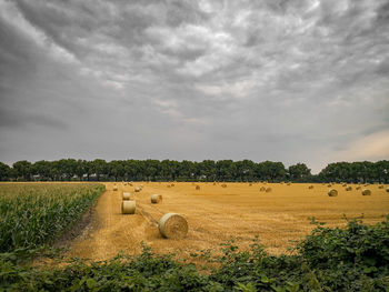 Hay bales on field against sky