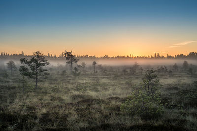 Trees on landscape against sky at sunset