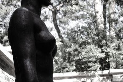 Side view of shirtless man statue against trees