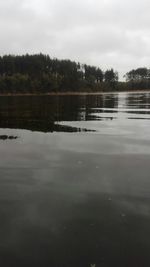 Reflection of trees in calm lake