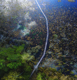 High angle view of road amidst trees in forest