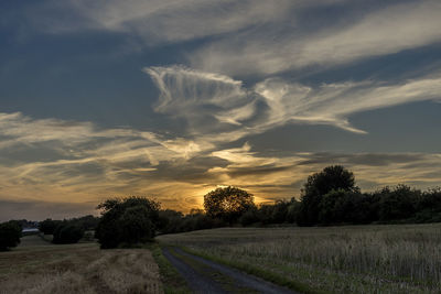 Road by trees against sky during sunset