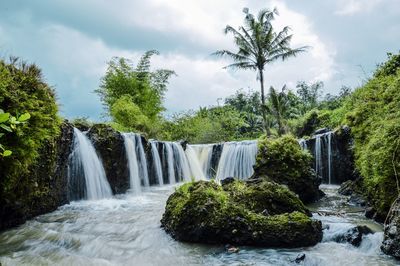 Mossy rock in the middle of the river