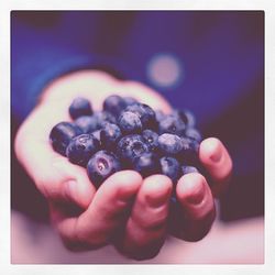 Close-up of hand holding food