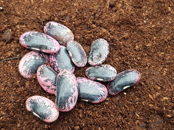 High angle view of stones on sand