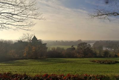 Scenic view of field against sky