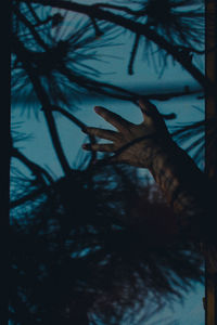 Close-up of silhouette hand against trees