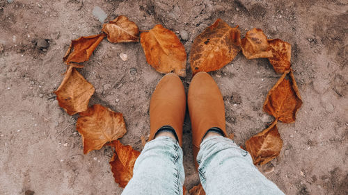 Low section of person standing on autumn leaves