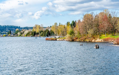 A view of the shoreline at gene coulon park in renton, washington.