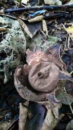 Close-up of abandoned garbage