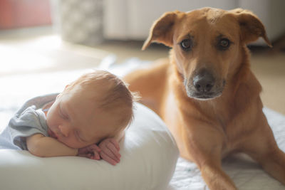 Portrait of cute baby lying on bed at home