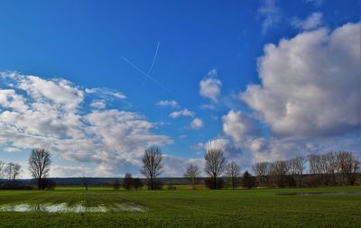 Scenic view of field against sky