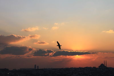 Silhouette bird flying over sea against sky during sunset