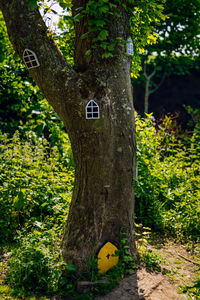 Tree trunk on field in park