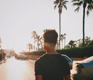 Rear view of man on palm trees against sky