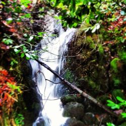 Scenic view of waterfall