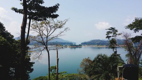 Trees by lake against sky