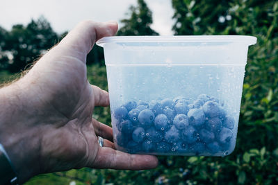 Midsection of man holding blueberries in bowl