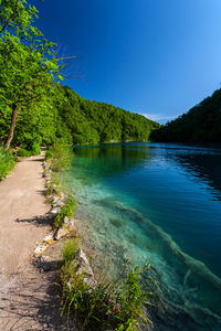 Scenic view of lake in forest against clear blue sky