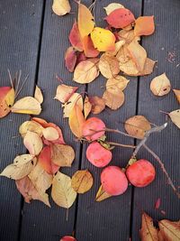High angle view of dry leaves on table