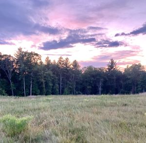 Scenic view of field against sky during sunset