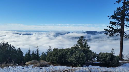 Scenic view of mountain covered with clouds against sky