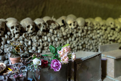 Close-up of flowers on container against human skulls