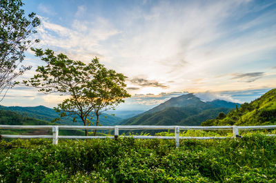 Scenic view of landscape against sky