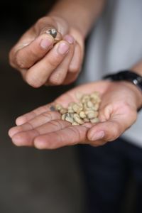 Close-up of man holding food