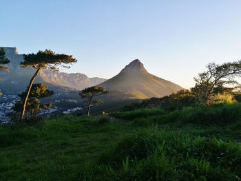 Scenic view of landscape against clear sky