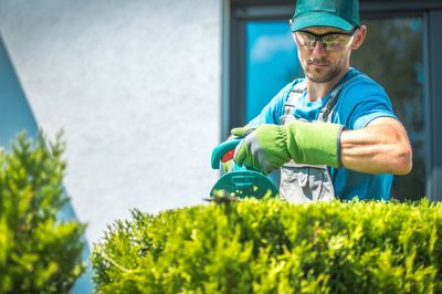 Man cutting plants in garden