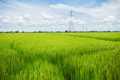 Scenic view of field against cloudy sky