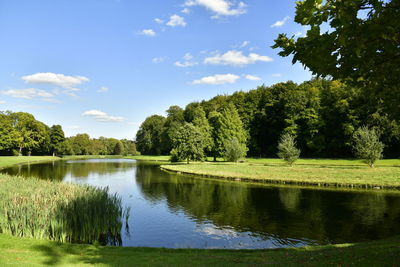 Scenic view of lake by trees against sky