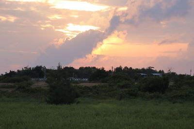 Scenic view of field against sky during sunset