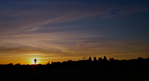 Silhouette trees against sky during sunset