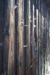 Full frame shot of wooden door