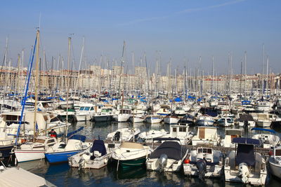 Sailboats moored in harbor