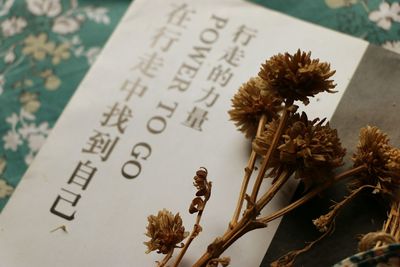 High angle view of dry flowers with paper on table