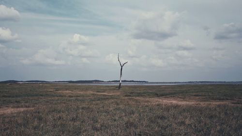 Scenic view of field against sky