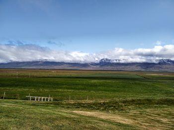 Scenic view of field against sky