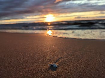 Scenic view of beach against sky during sunset