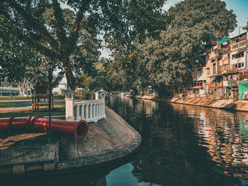 Trees by river against buildings in city