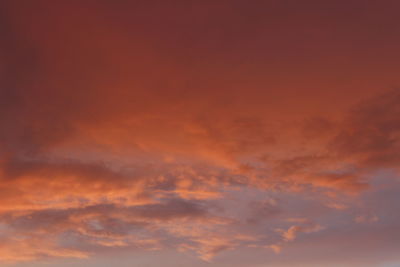 Low angle view of orange sky