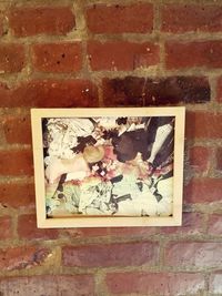 Close-up of flower on brick wall