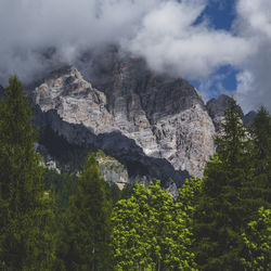 Scenic view of rocks in forest against sky