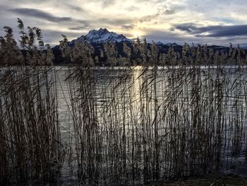 Scenic view of lake against sky