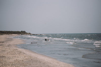 Scenic view of beach against clear sky